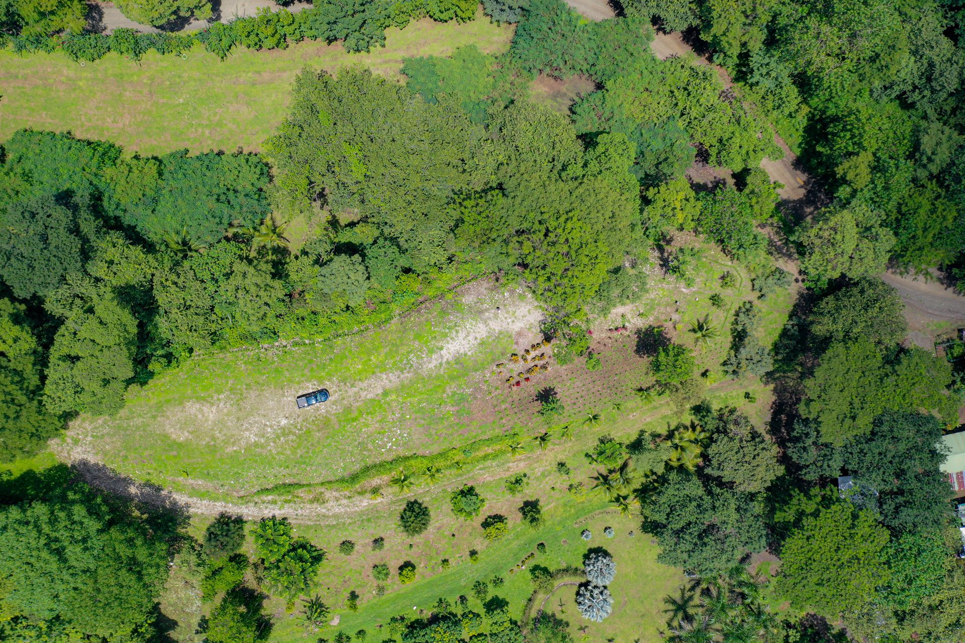 Overhead aerial view of planted trees, clearings and garden paths across the grounds of The Sanctuary Estate, Nosara, Costa Rica